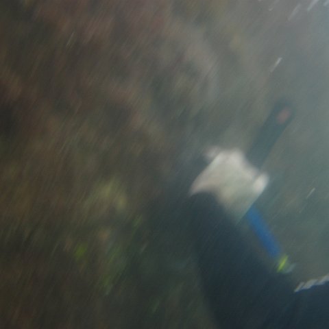 IMG_1115 IMG_1115