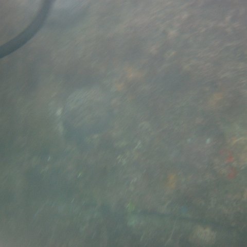 IMG_1117 IMG_1117
