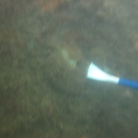 IMG_1118 IMG_1118