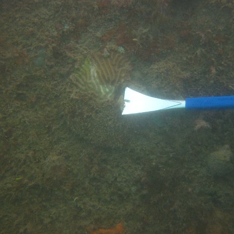 IMG_1119 IMG_1119