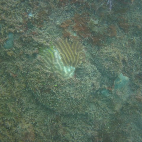 IMG_1121 IMG_1121