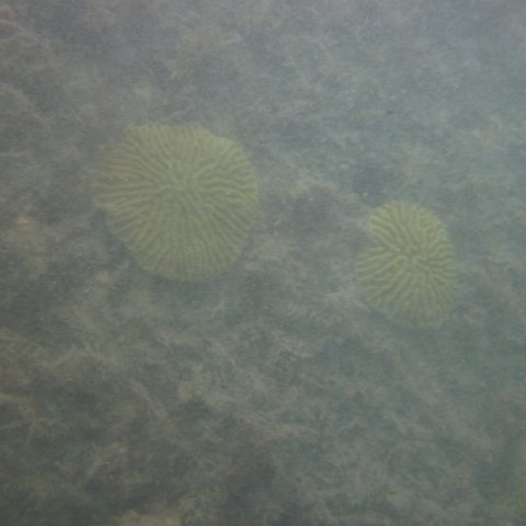 IMG_1123 IMG_1123