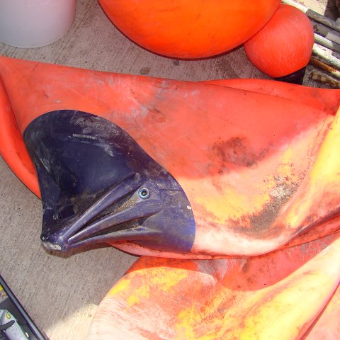 DSC00245 DSC00245