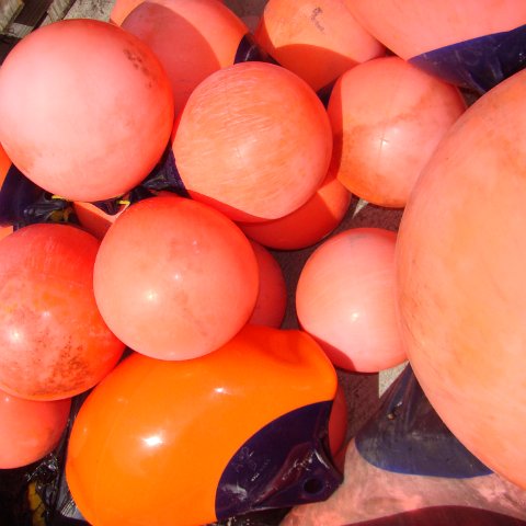 DSC00246 DSC00246