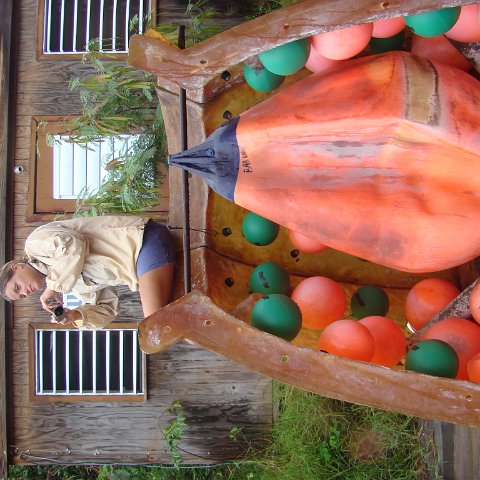 DSC00282 DSC00282
