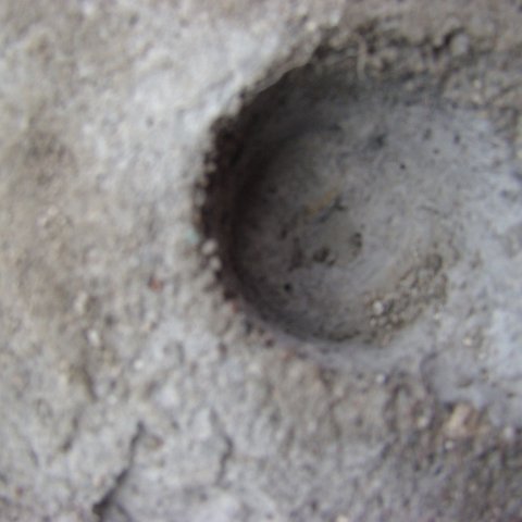 DSC00333 DSC00333