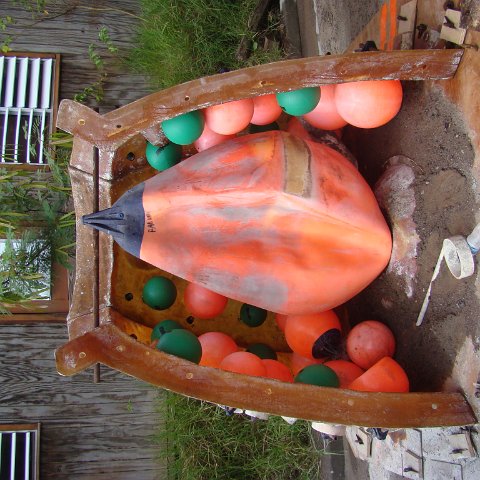 DSC00336 DSC00336