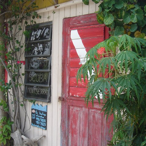 DSC00356 DSC00356