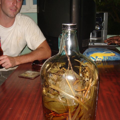 DSC00378 DSC00378
