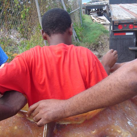 DSC00395 DSC00395