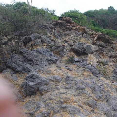 DSC00415 DSC00415
