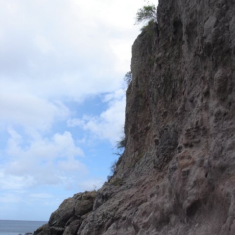 DSC00417 DSC00417
