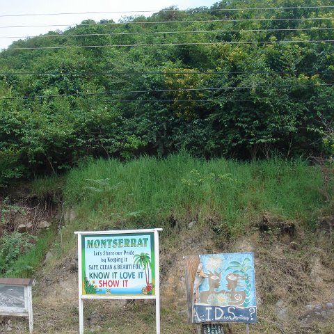 DSC00431 DSC00431