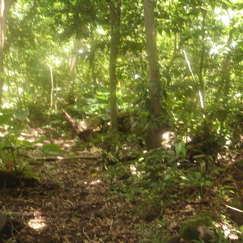 DSC00470 DSC00470