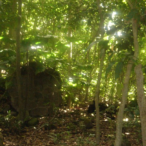 DSC00472 DSC00472