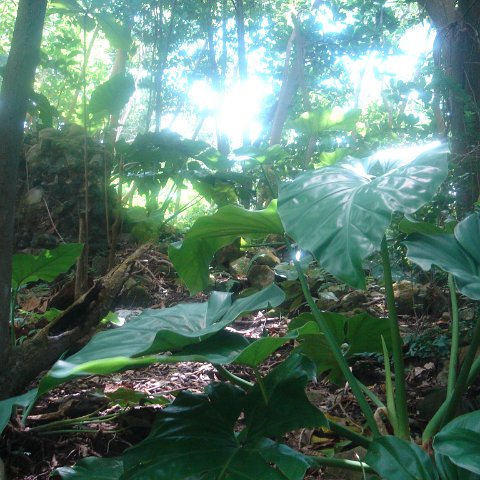 DSC00473 DSC00473