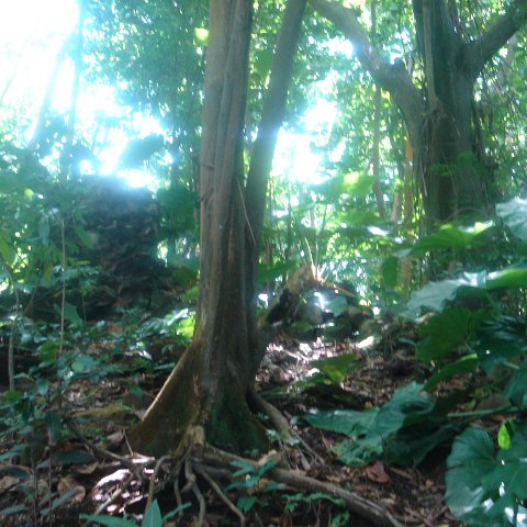 DSC00474 DSC00474