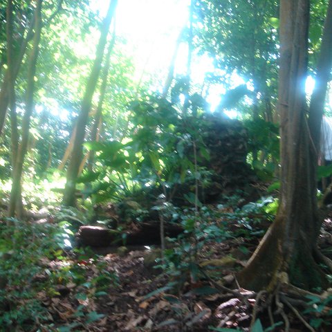 DSC00475 DSC00475