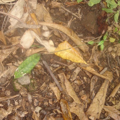 DSC00476 DSC00476