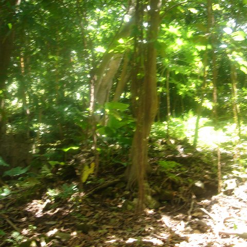 DSC00477 DSC00477