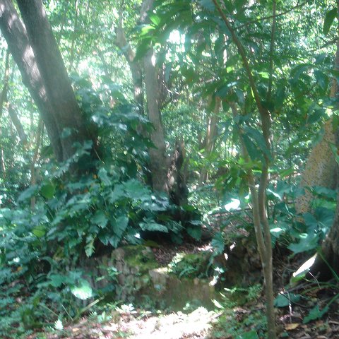 DSC00478 DSC00478