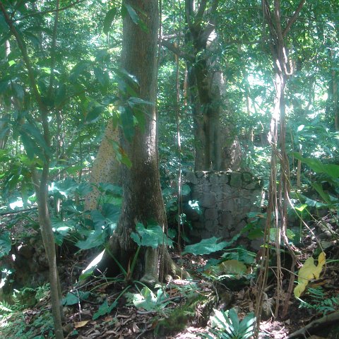 DSC00479 DSC00479