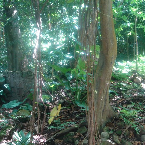 DSC00480 DSC00480