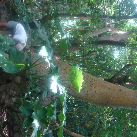 DSC00483 DSC00483