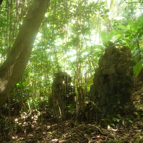 DSC00487 DSC00487