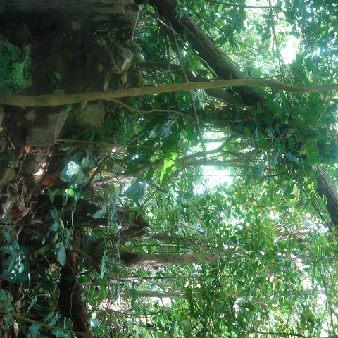 DSC00488 DSC00488