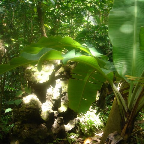 DSC00489 DSC00489