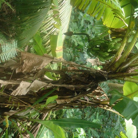 DSC00493 DSC00493