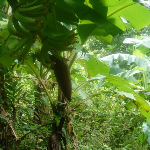 DSC00494 DSC00494