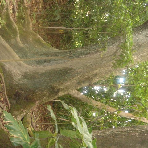 DSC00495 DSC00495