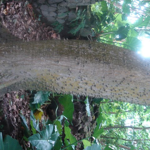 DSC00496 DSC00496