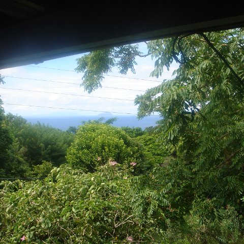 DSC00498 DSC00498