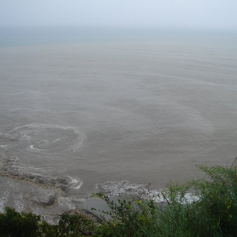 DSC00502 DSC00502