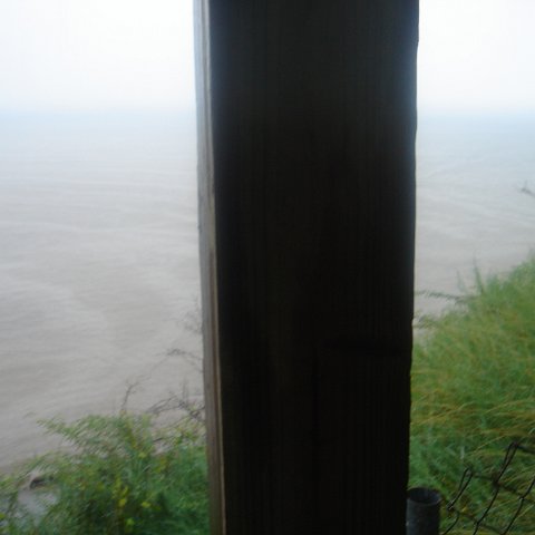 DSC00503 DSC00503
