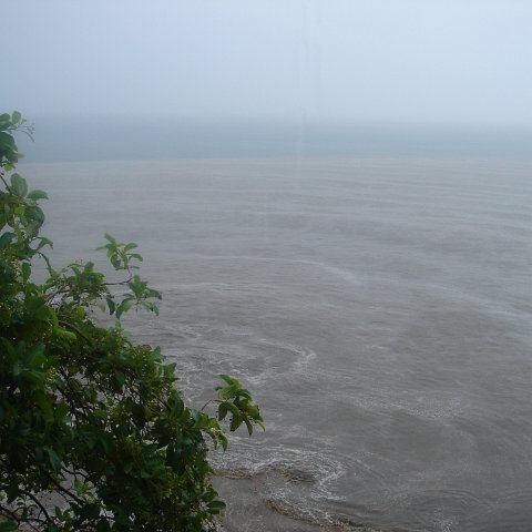 DSC00509 DSC00509