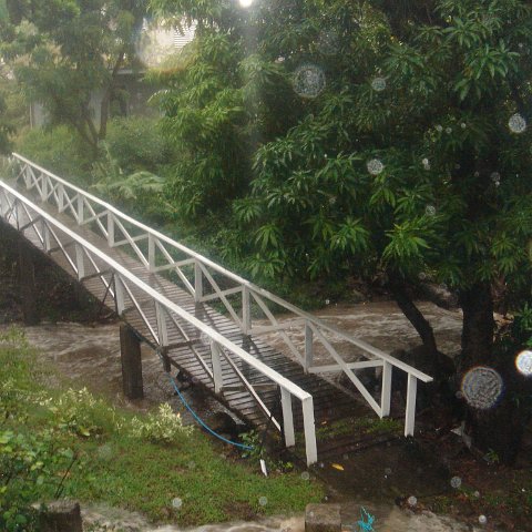 DSC00510 DSC00510