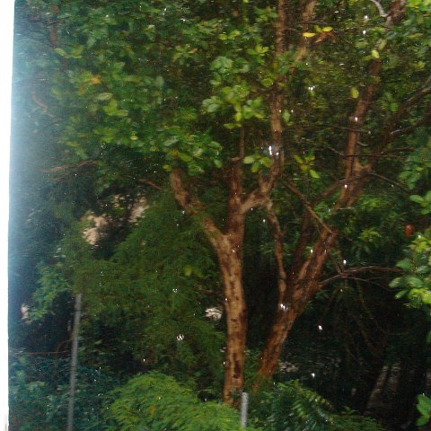 DSC00511 DSC00511