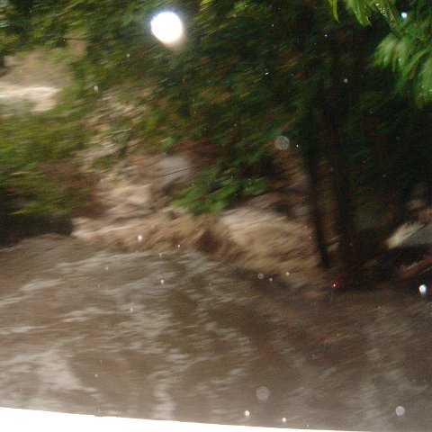 DSC00512 DSC00512