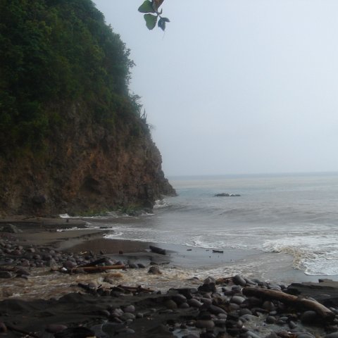 DSC00515 DSC00515