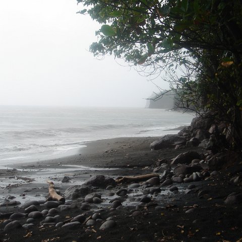 DSC00516 DSC00516