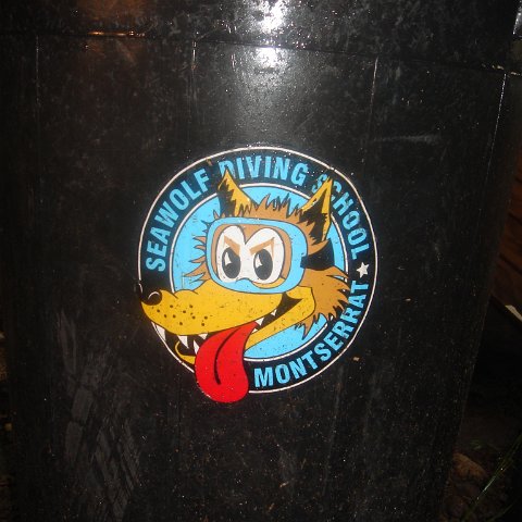 DSC00517 DSC00517