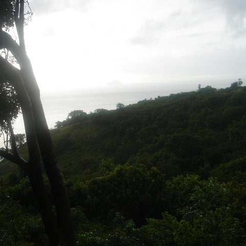 DSC00519 DSC00519