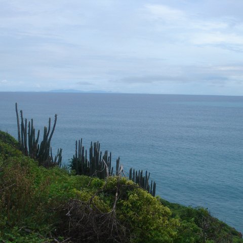 DSC00529 DSC00529