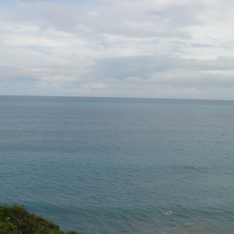 DSC00530 DSC00530
