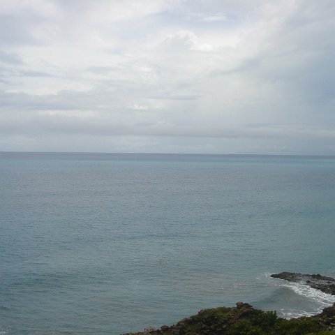 DSC00531 DSC00531