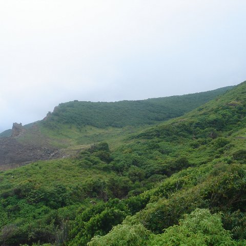DSC00534 DSC00534